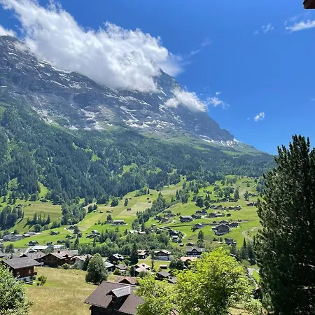 Cosy Swiss Apartman Grindelwald
