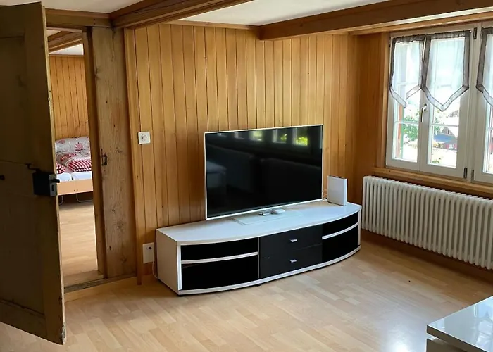 Cosy Swiss Apartment *