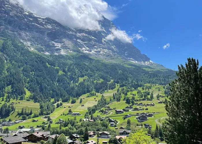 Cosy Swiss 公寓 格林德瓦