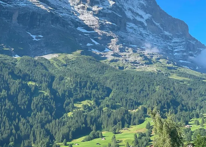 公寓 Cosy Swiss 格林德瓦