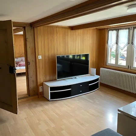 Cosy Swiss Apartment *